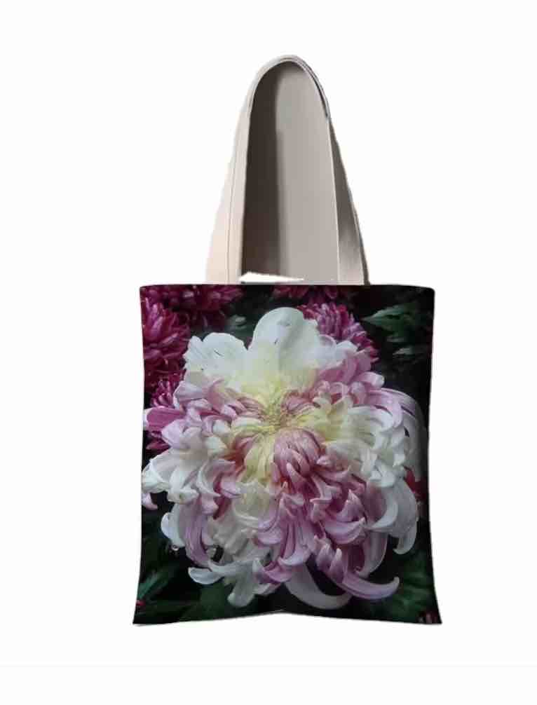 Eco shopping bag